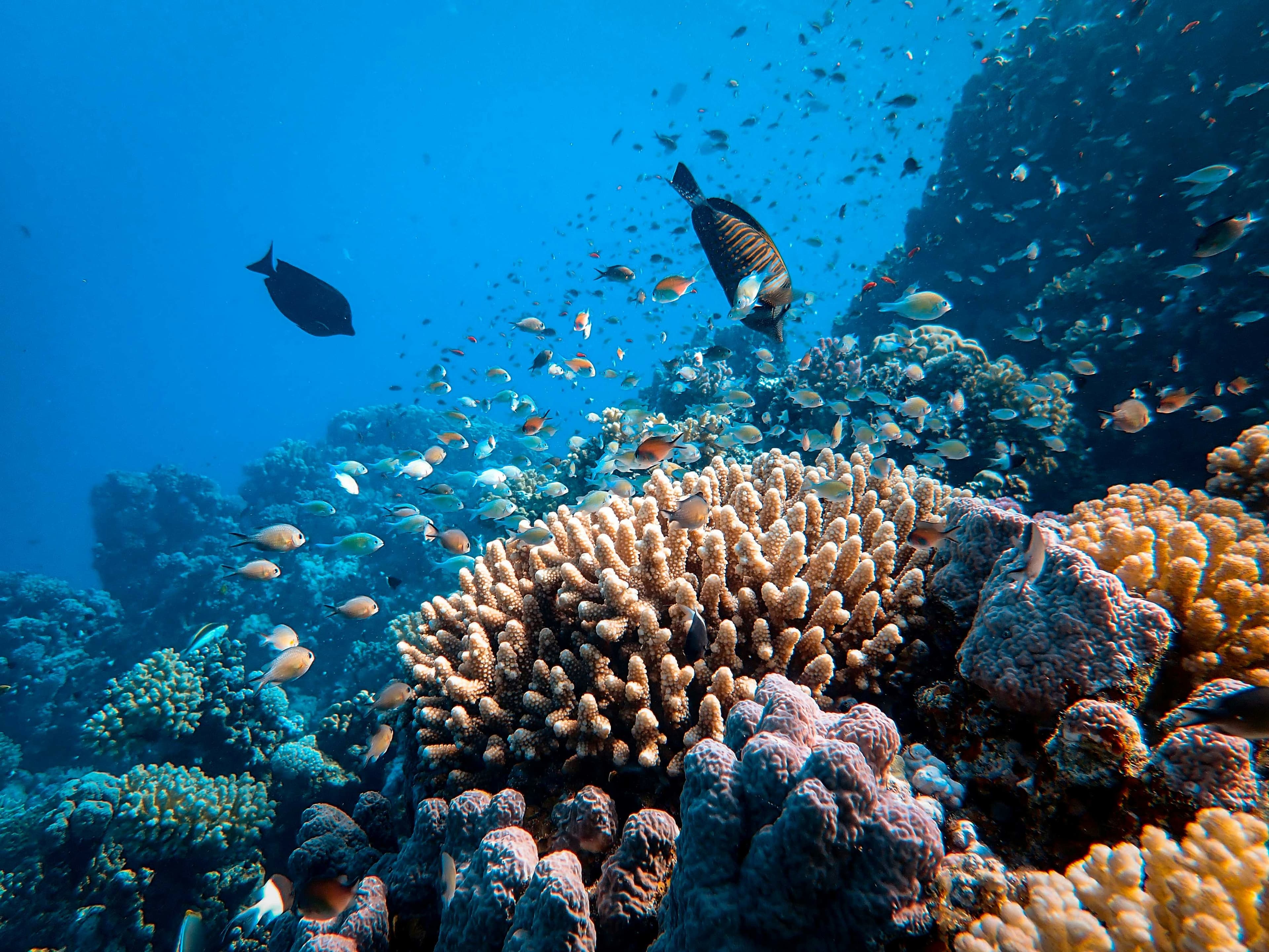 Coastal waters